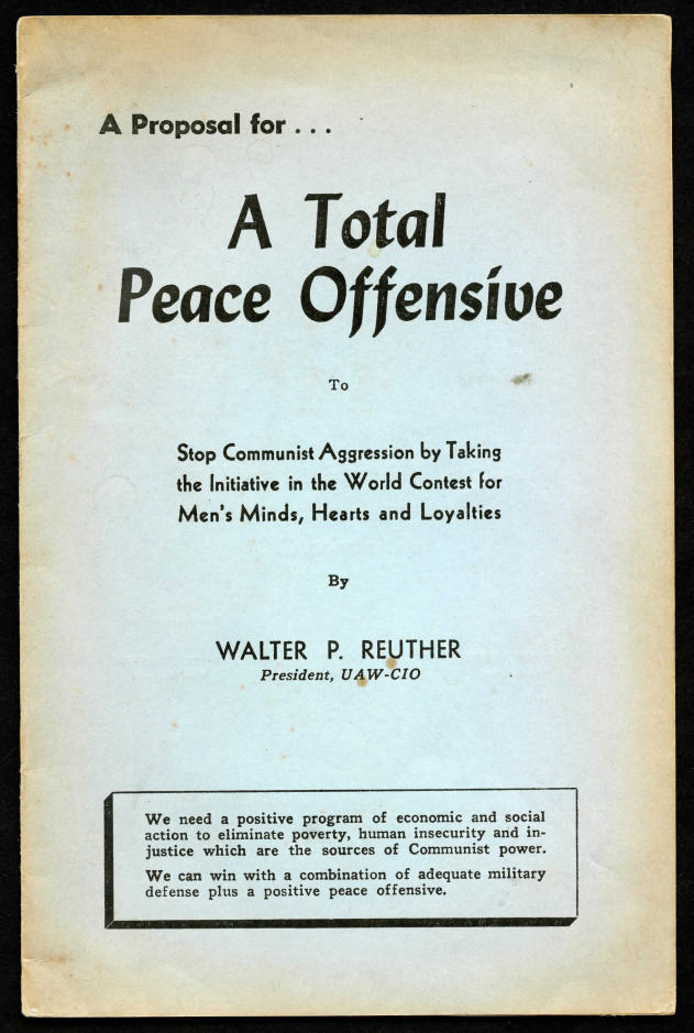 Ruether's Proposal for a Total Peace Offensive